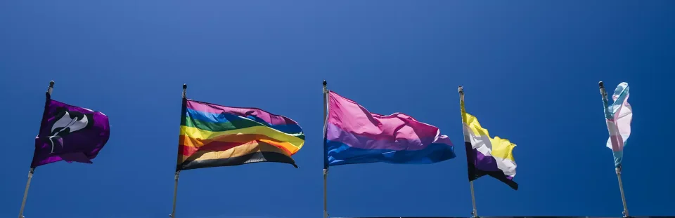 Pride flags flying over a San Francisco neighborhood street
