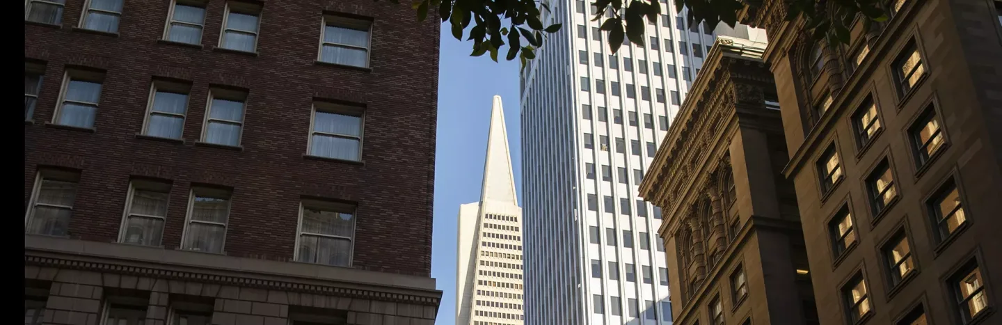 Transamerica Pyramid framed by Financial District buildings