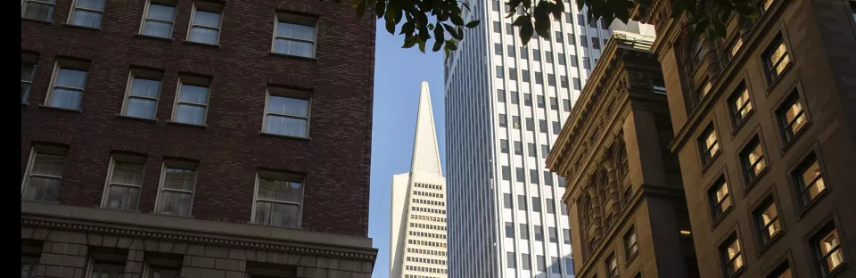 Transamerica Pyramid framed by Financial District buildings